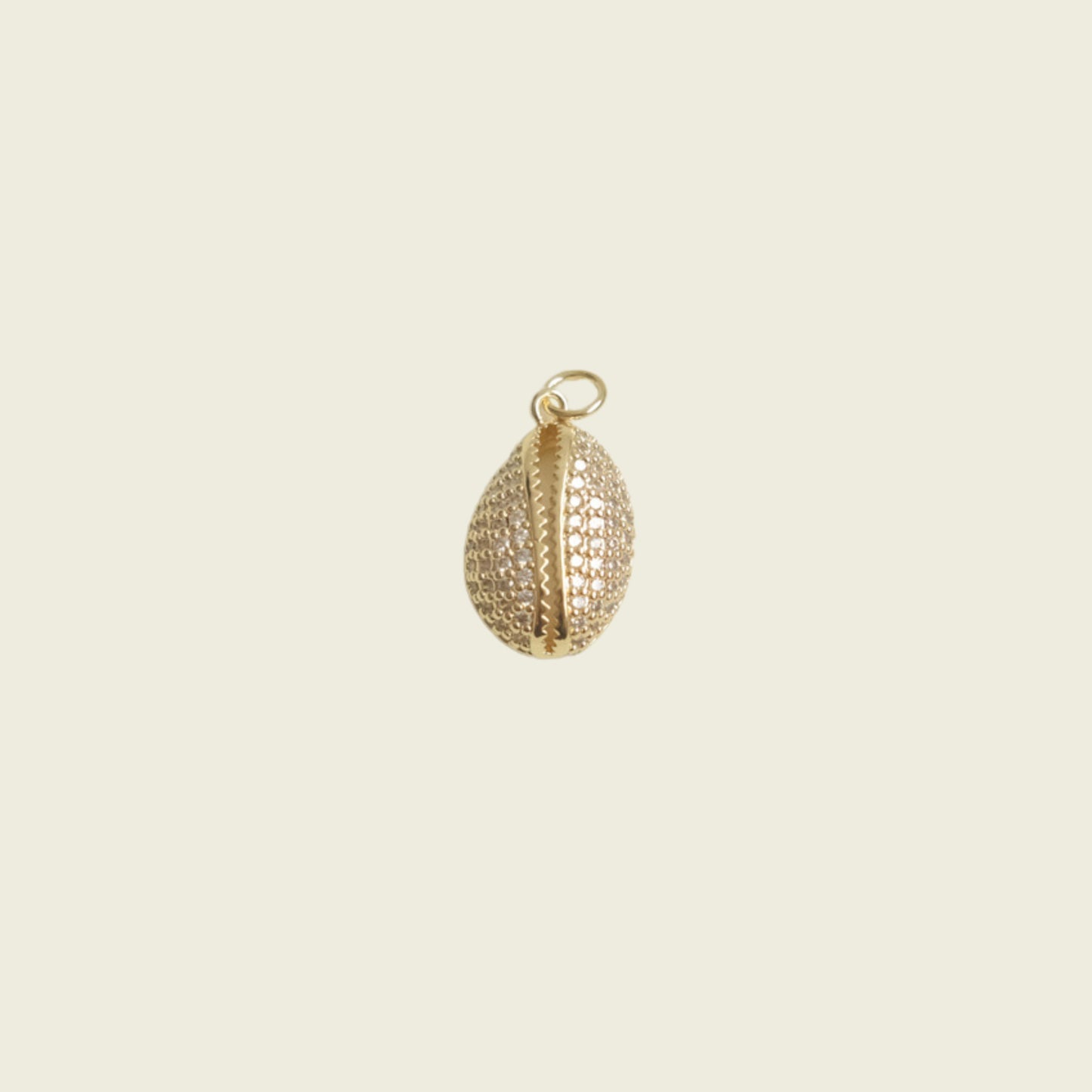 Jewel Cowrie Shell