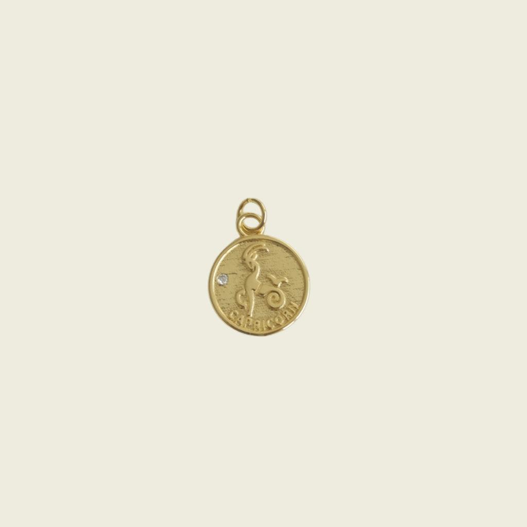 Zodiac Coin Charm