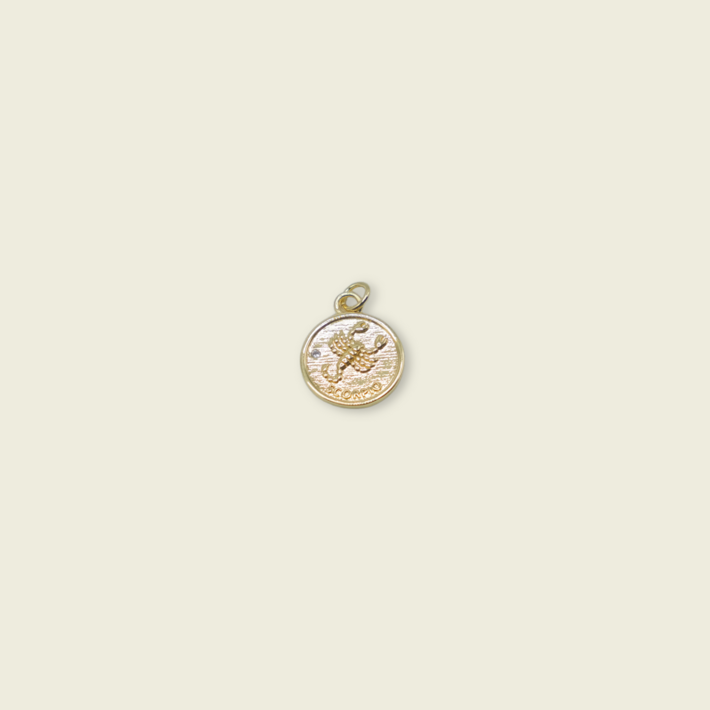 Zodiac Coin Charm