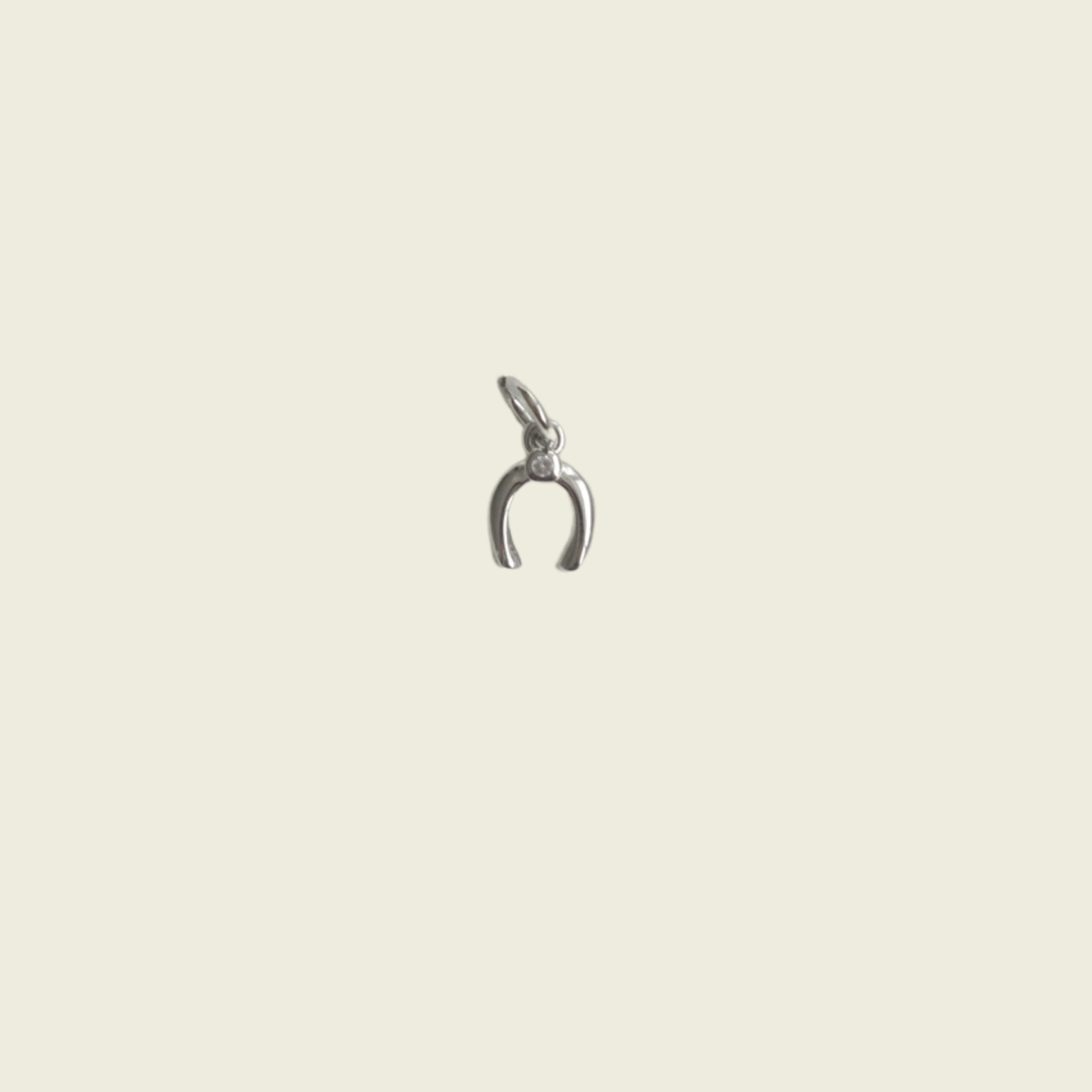 Mini Horseshoe Charm