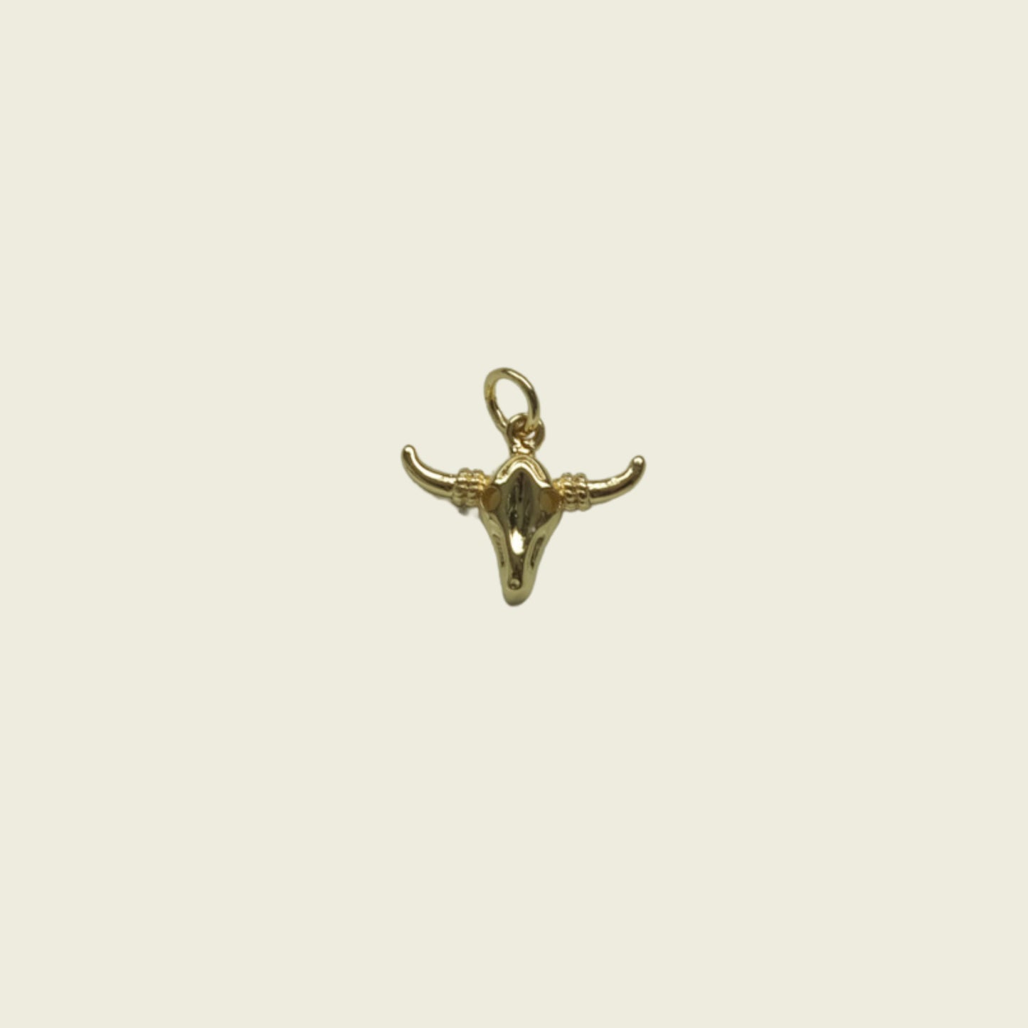 Bull Skull Charm