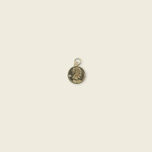 Zodiac Coin Charm