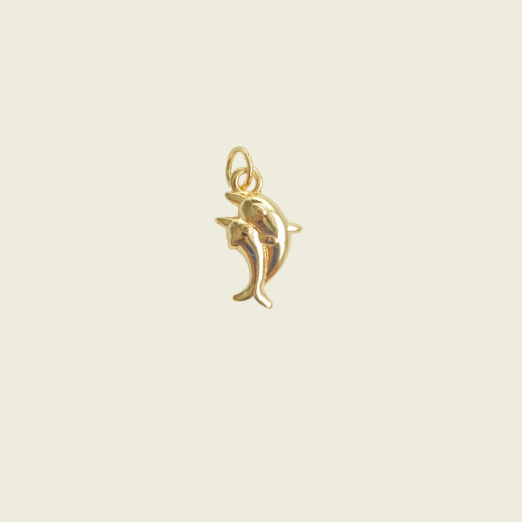Dolphin Charm