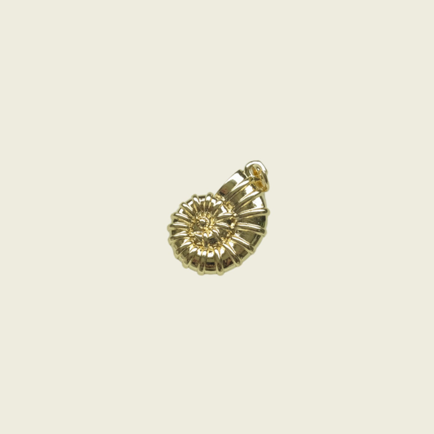 Spirula Shell Charm