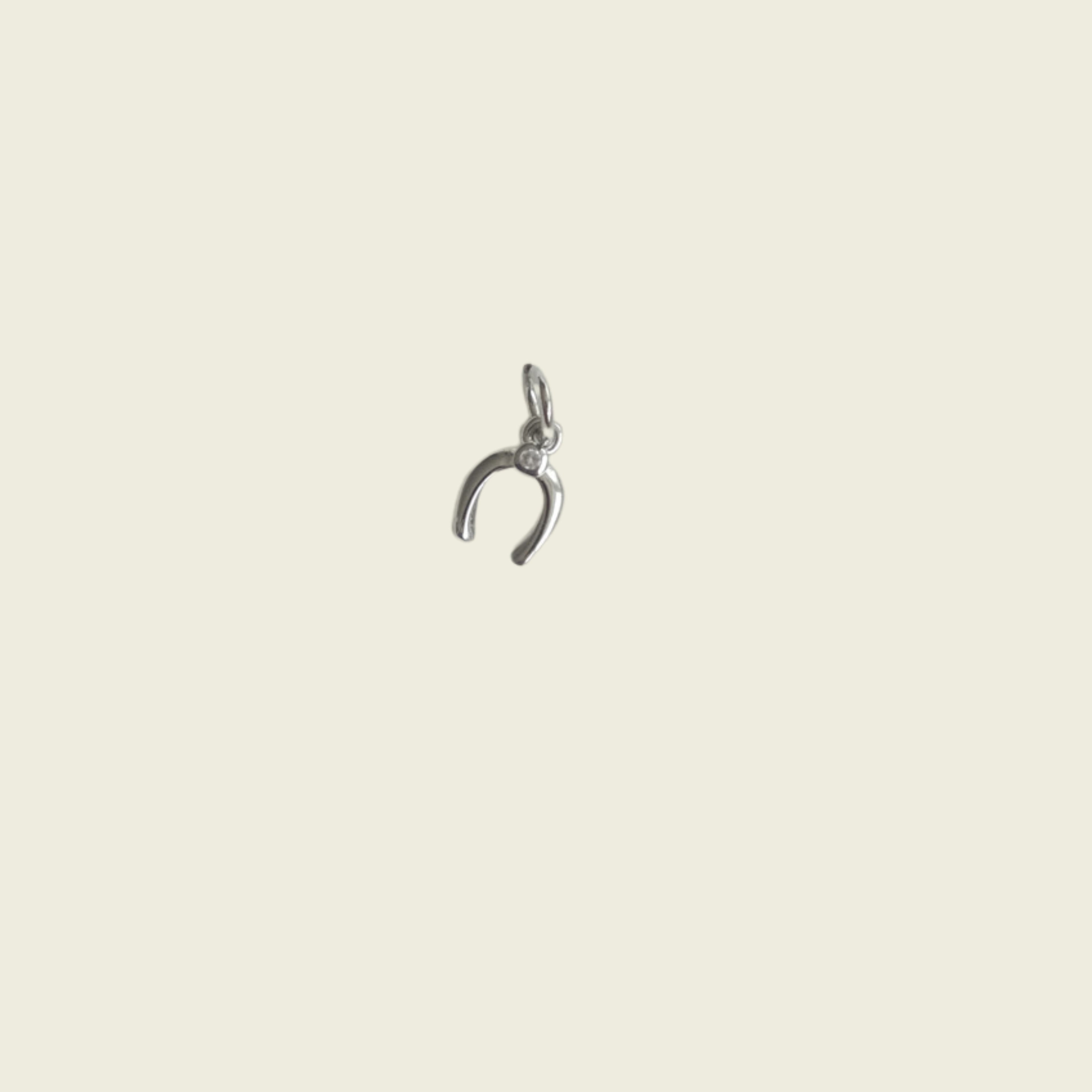 Mini Horseshoe Charm