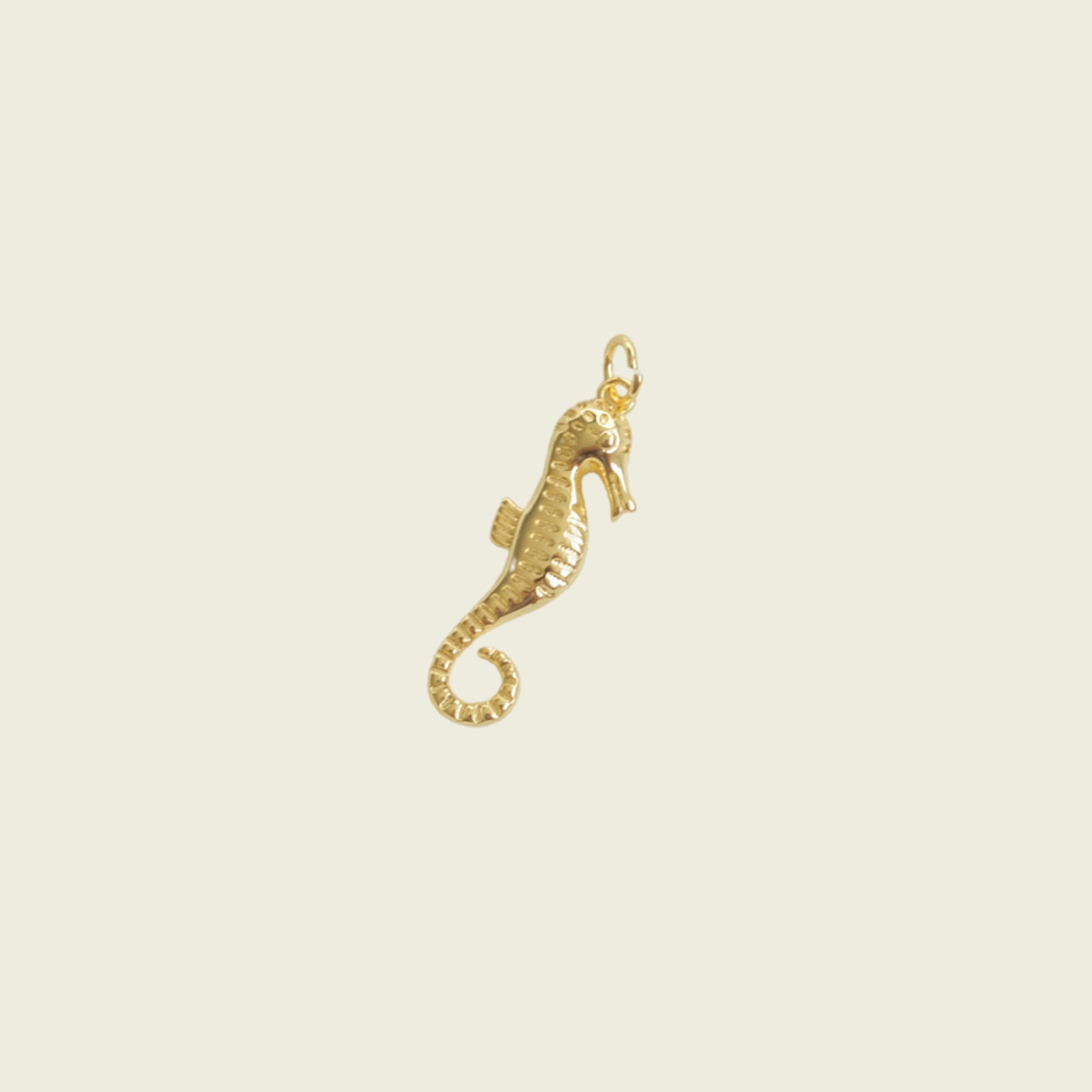 Large Seahorse Charm