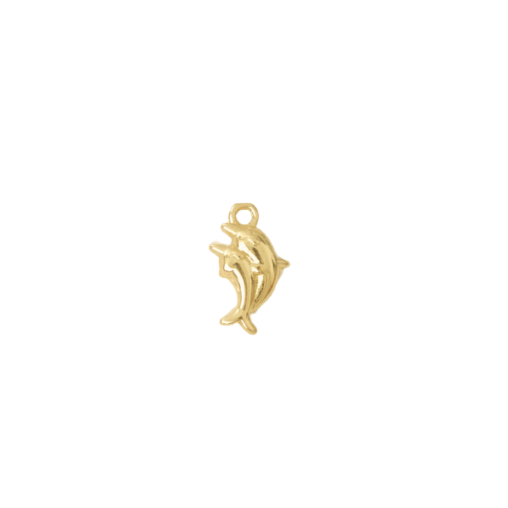 Dolphin Charm