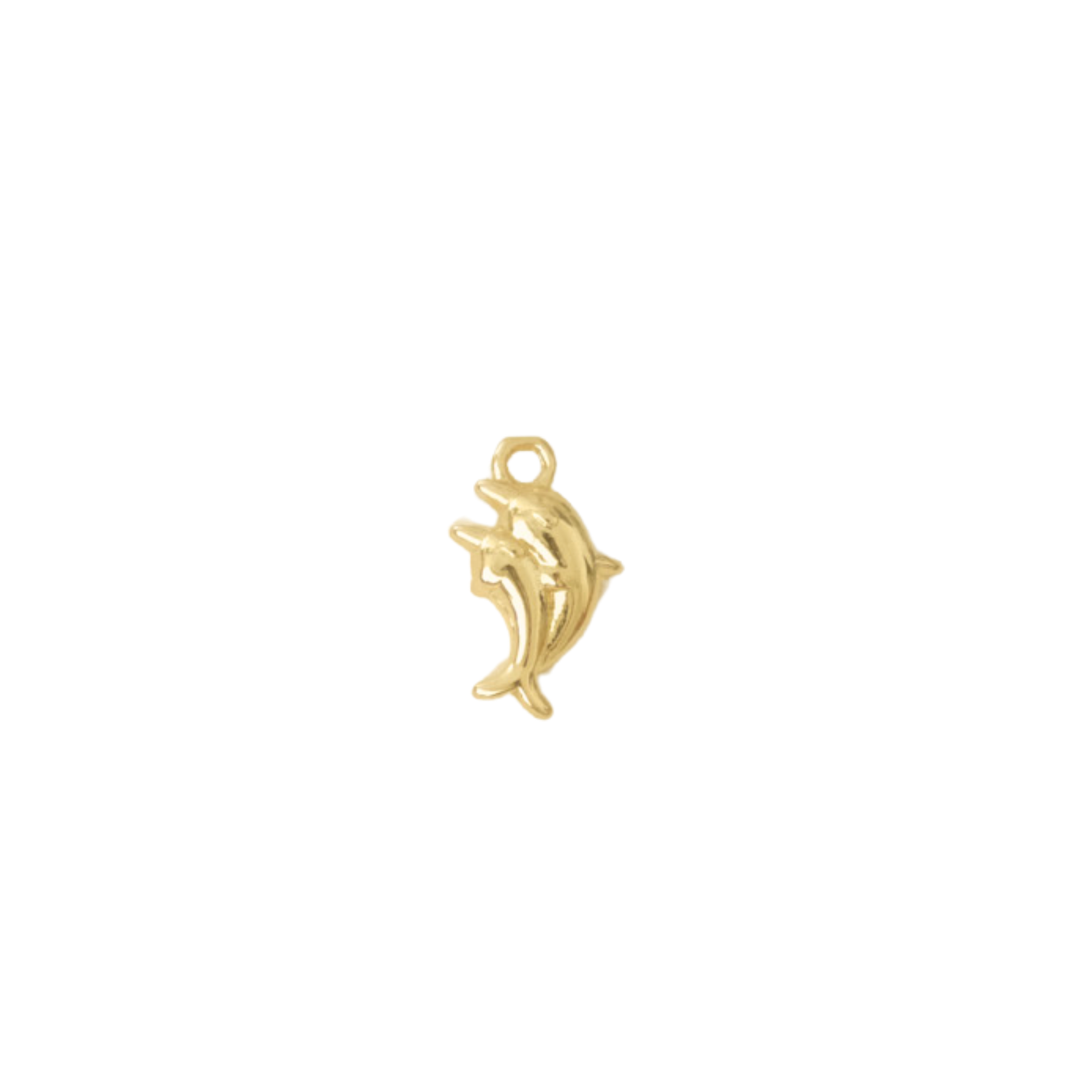 Dolphin Charm