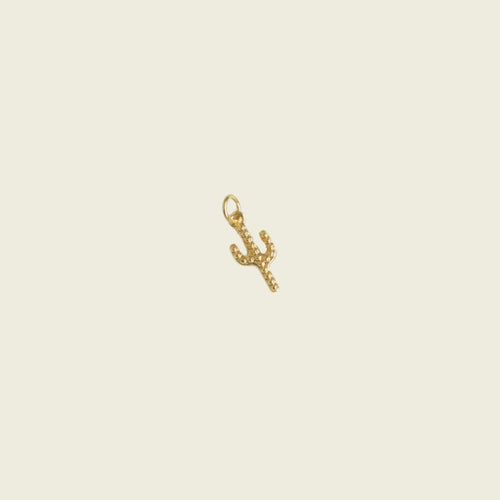Cactus Charm