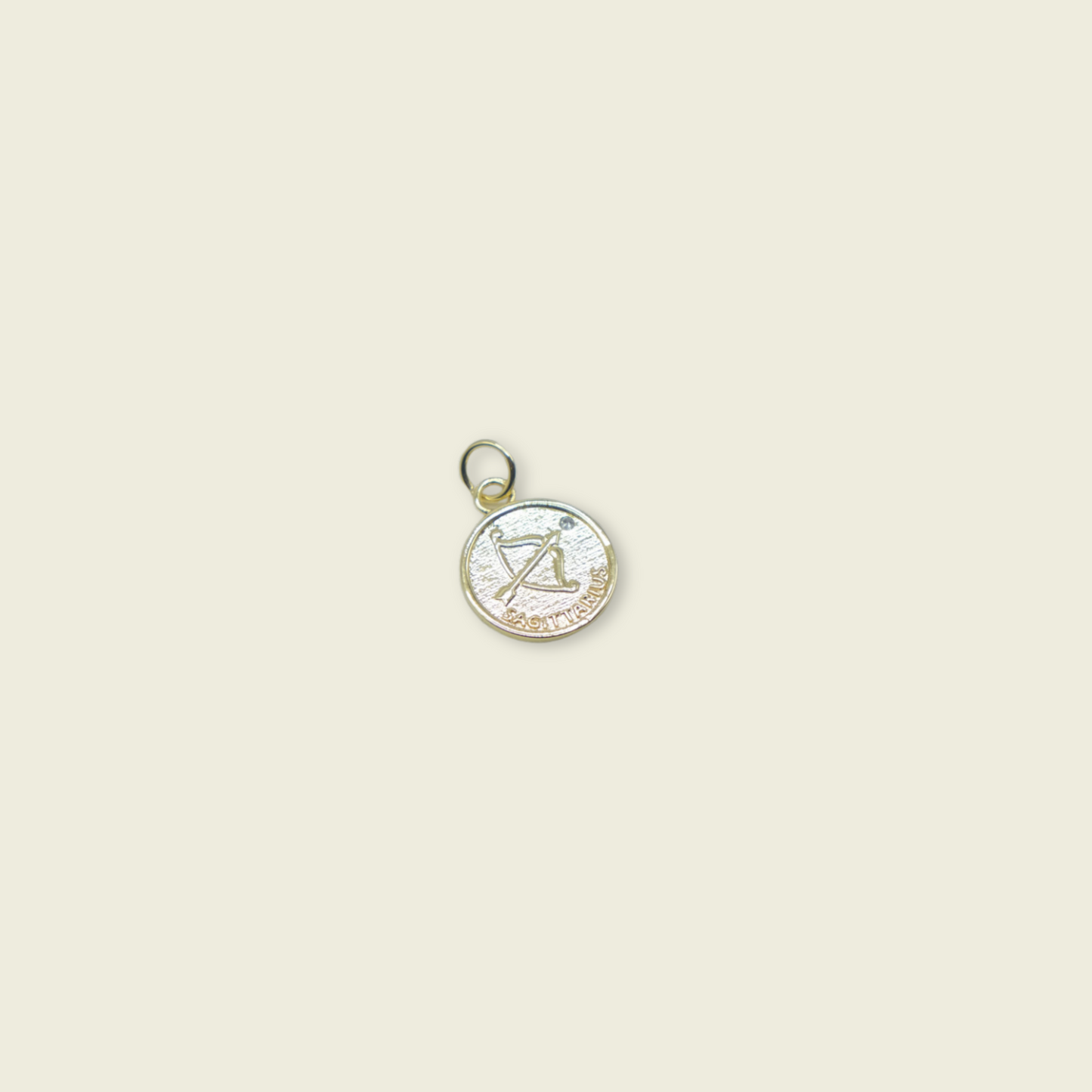 Zodiac Coin Charm