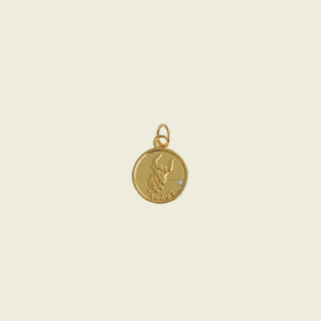 Zodiac Coin Charm