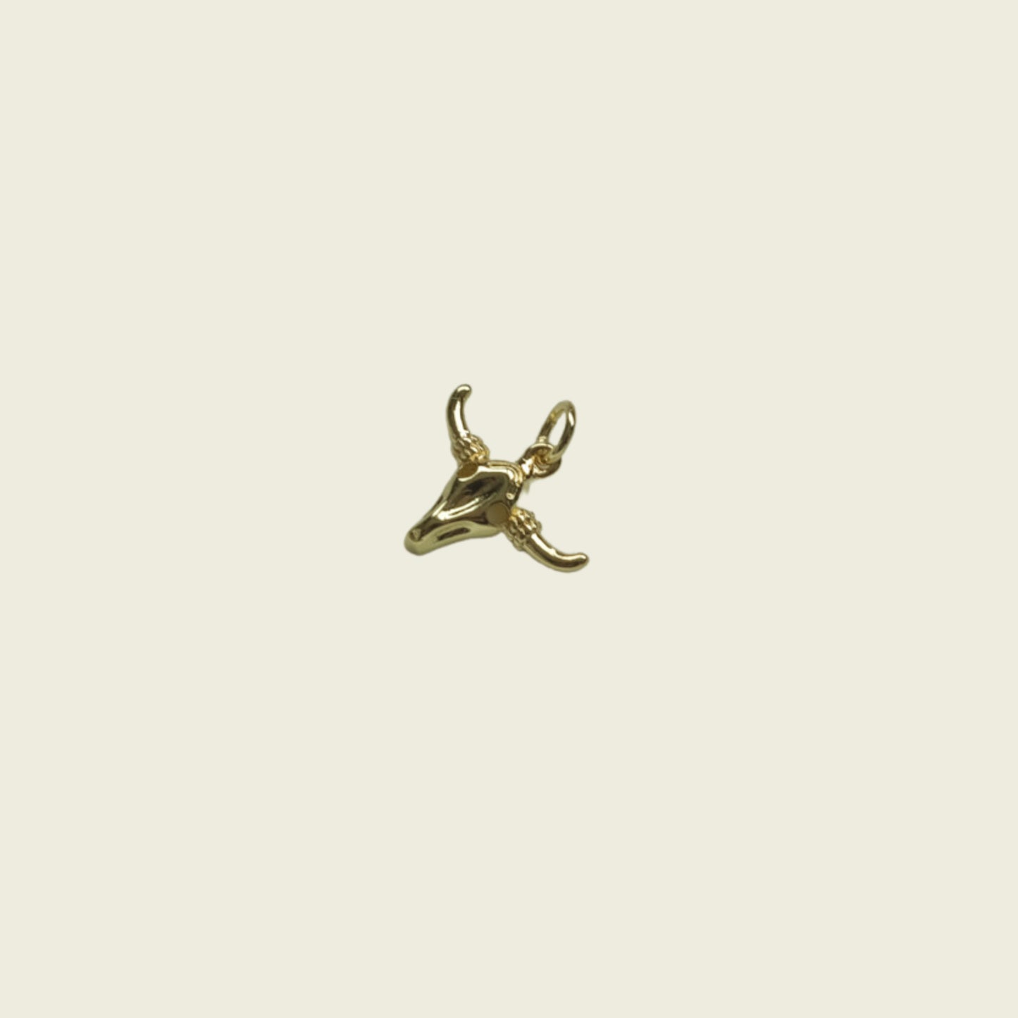 Bull Skull Charm
