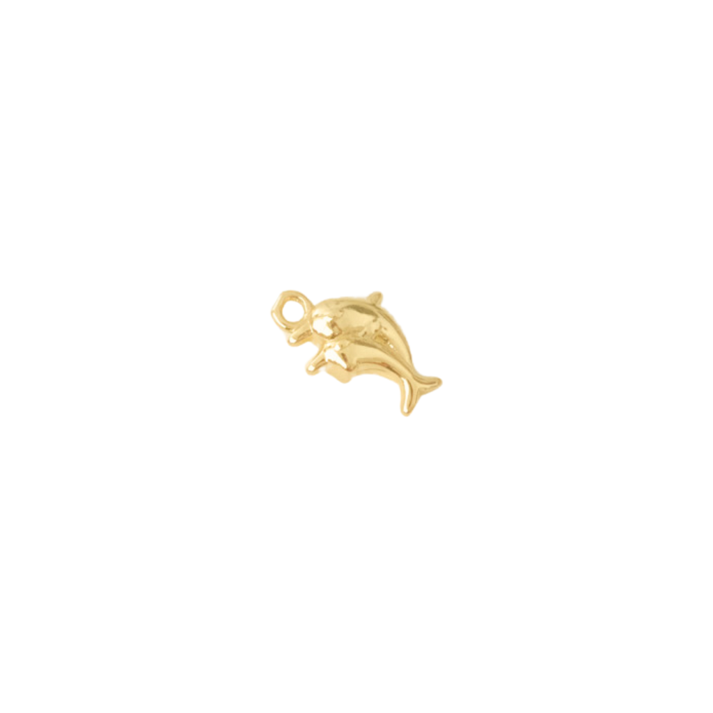 Dolphin Charm