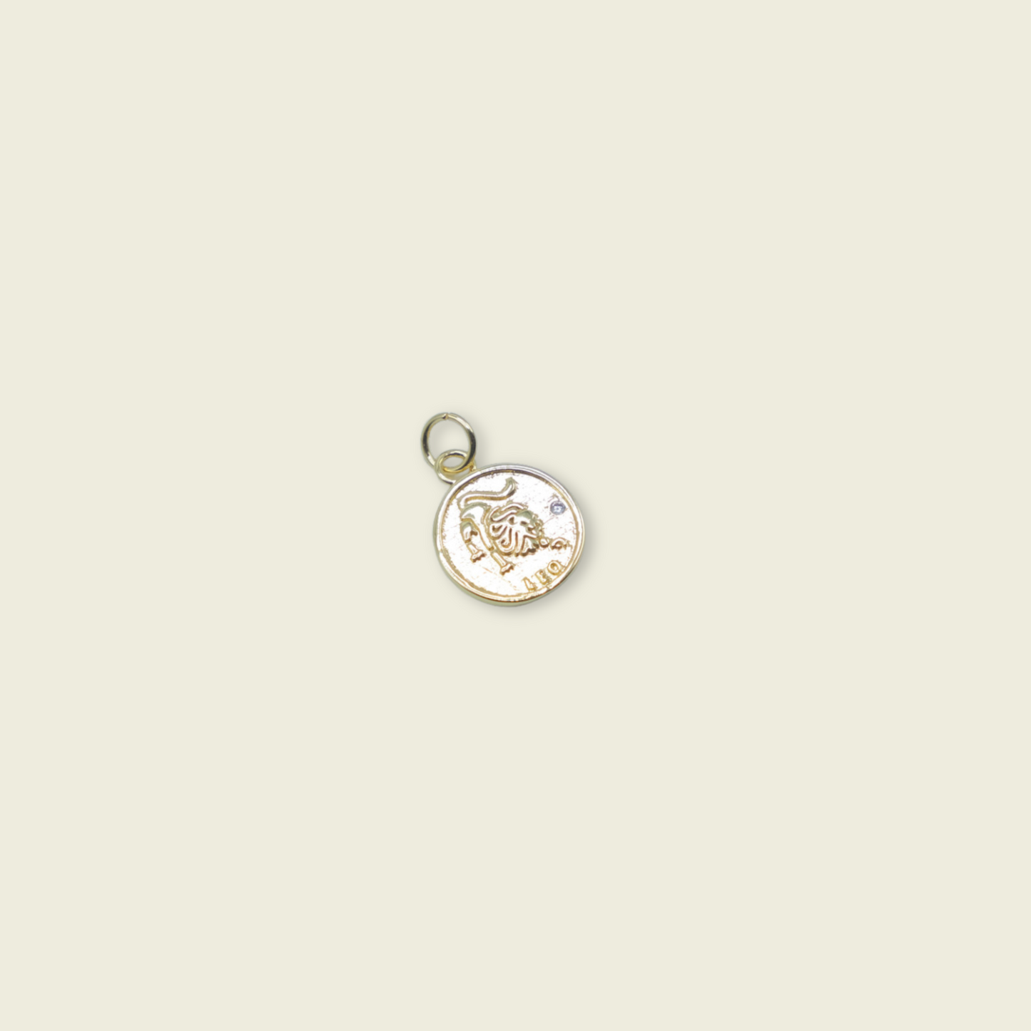 Zodiac Coin Charm