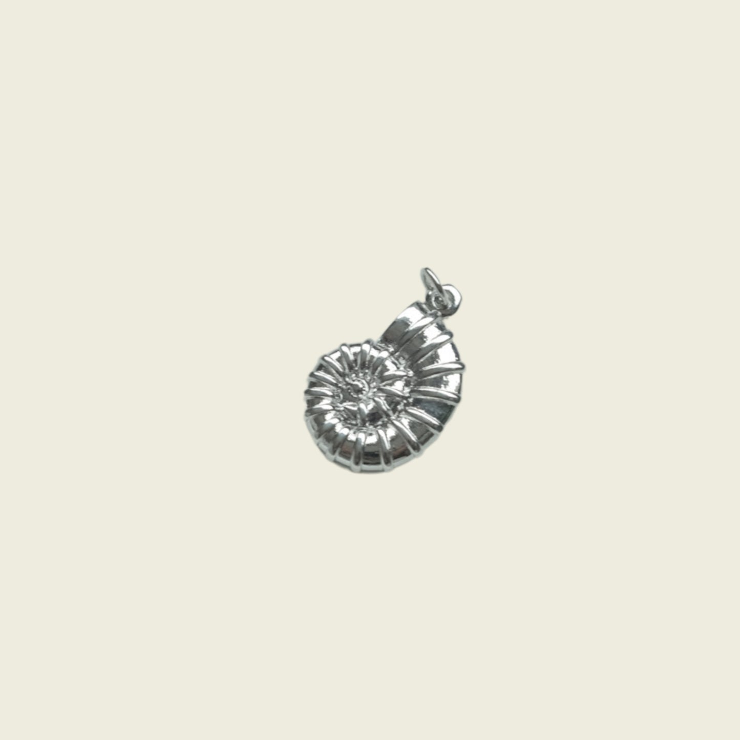 Spirula Shell Charm