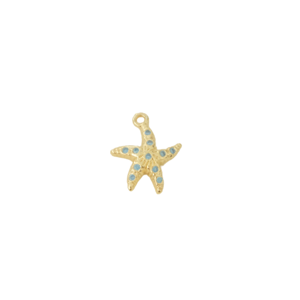 Aqua Starfish