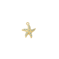 Aqua Starfish