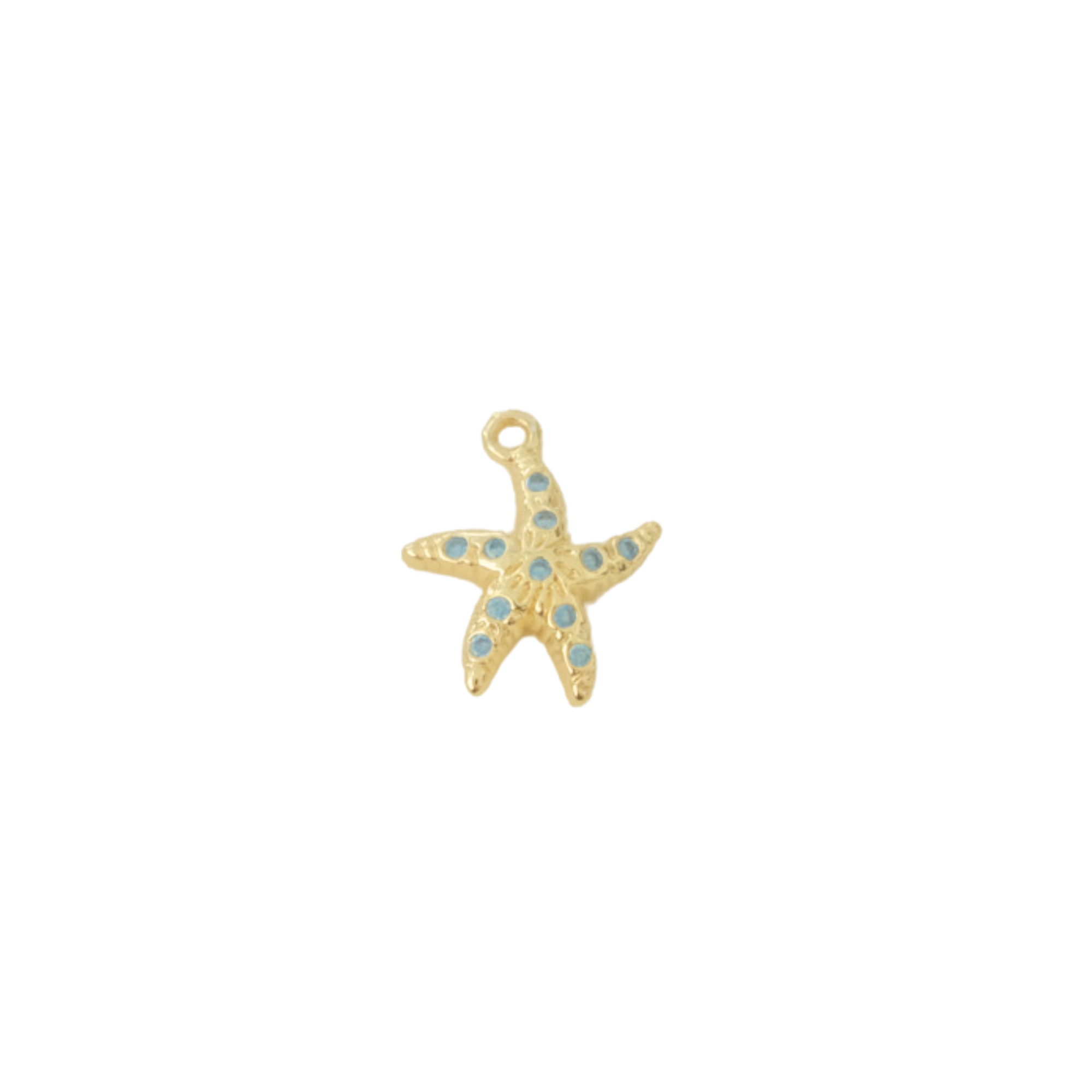 Aqua Starfish