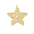 Capella Star Charm