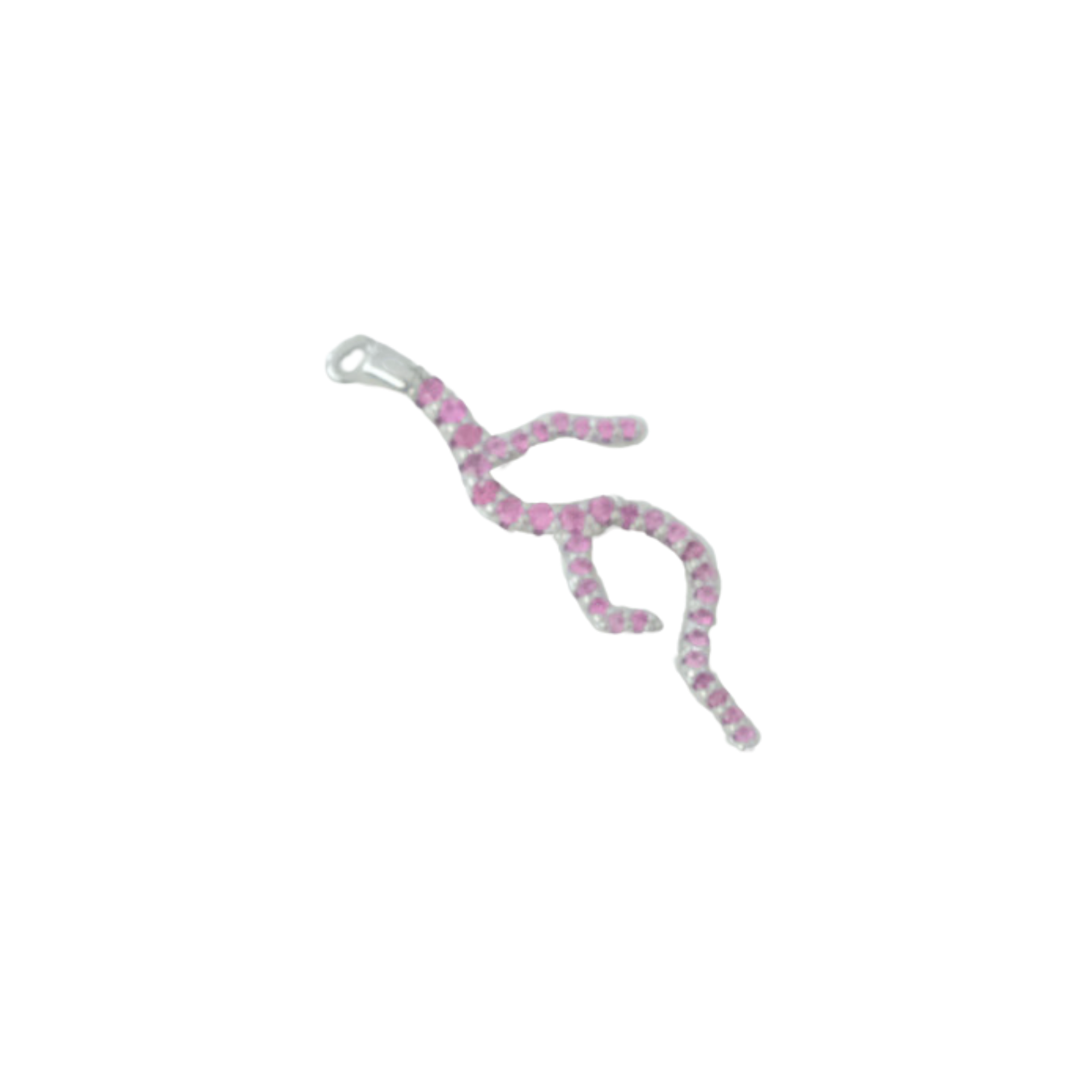 Coral Reef Charm