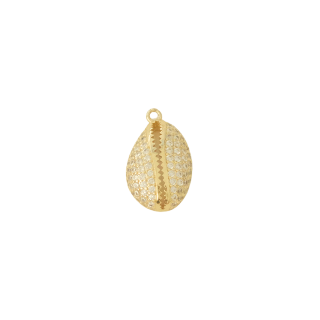 Jewel Cowrie Shell