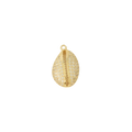 Jewel Cowrie Shell