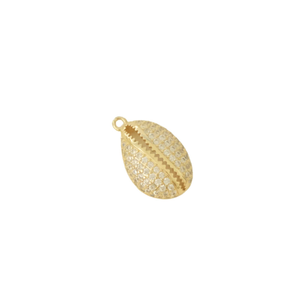 Jewel Cowrie Shell
