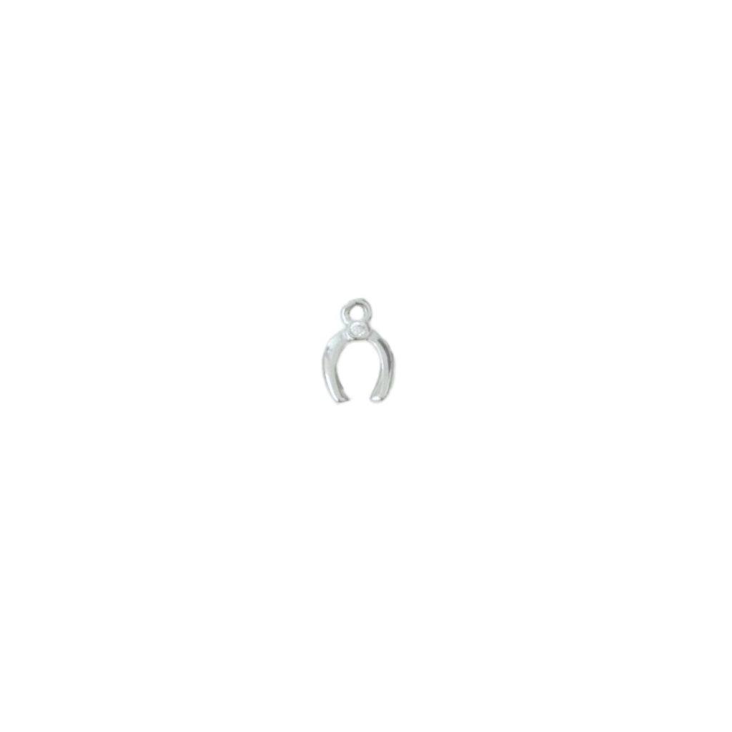 Mini Horseshoe Charm