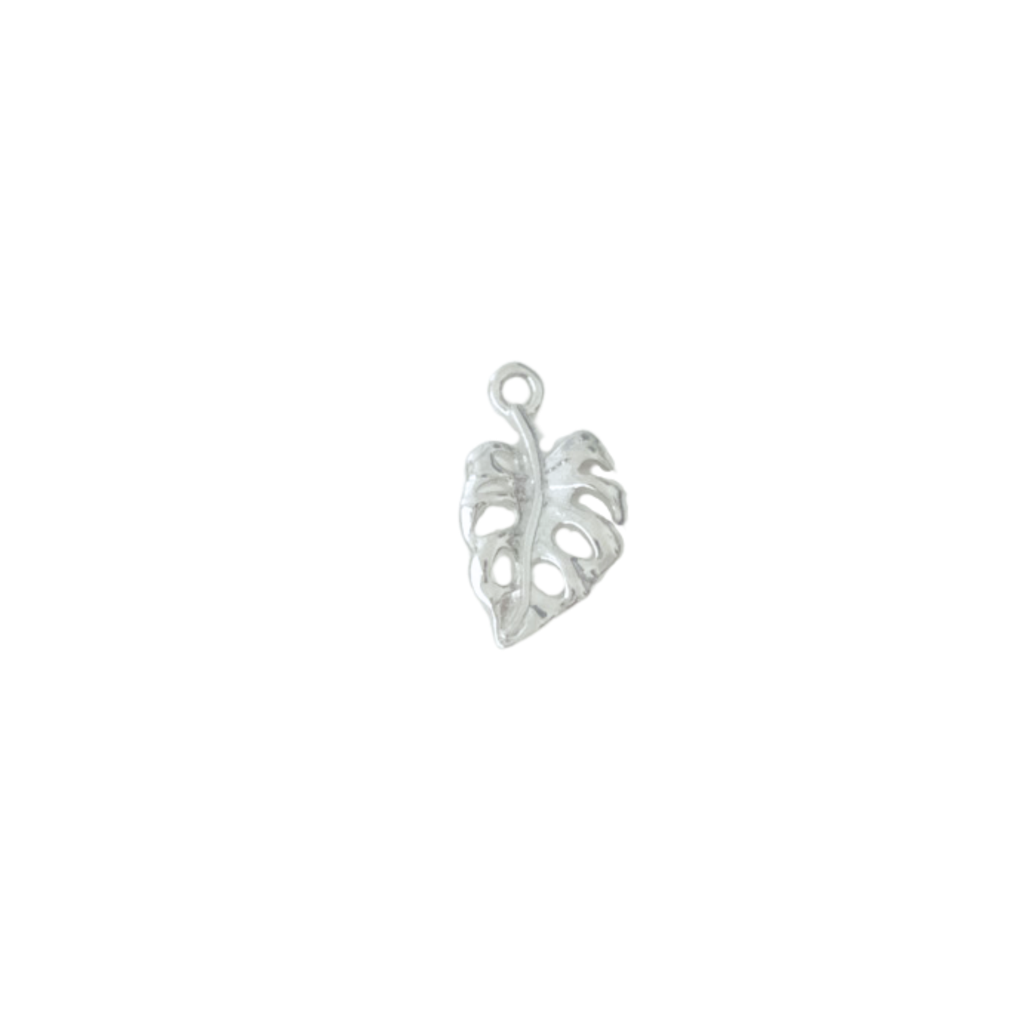 Monstera Leaf Charm
