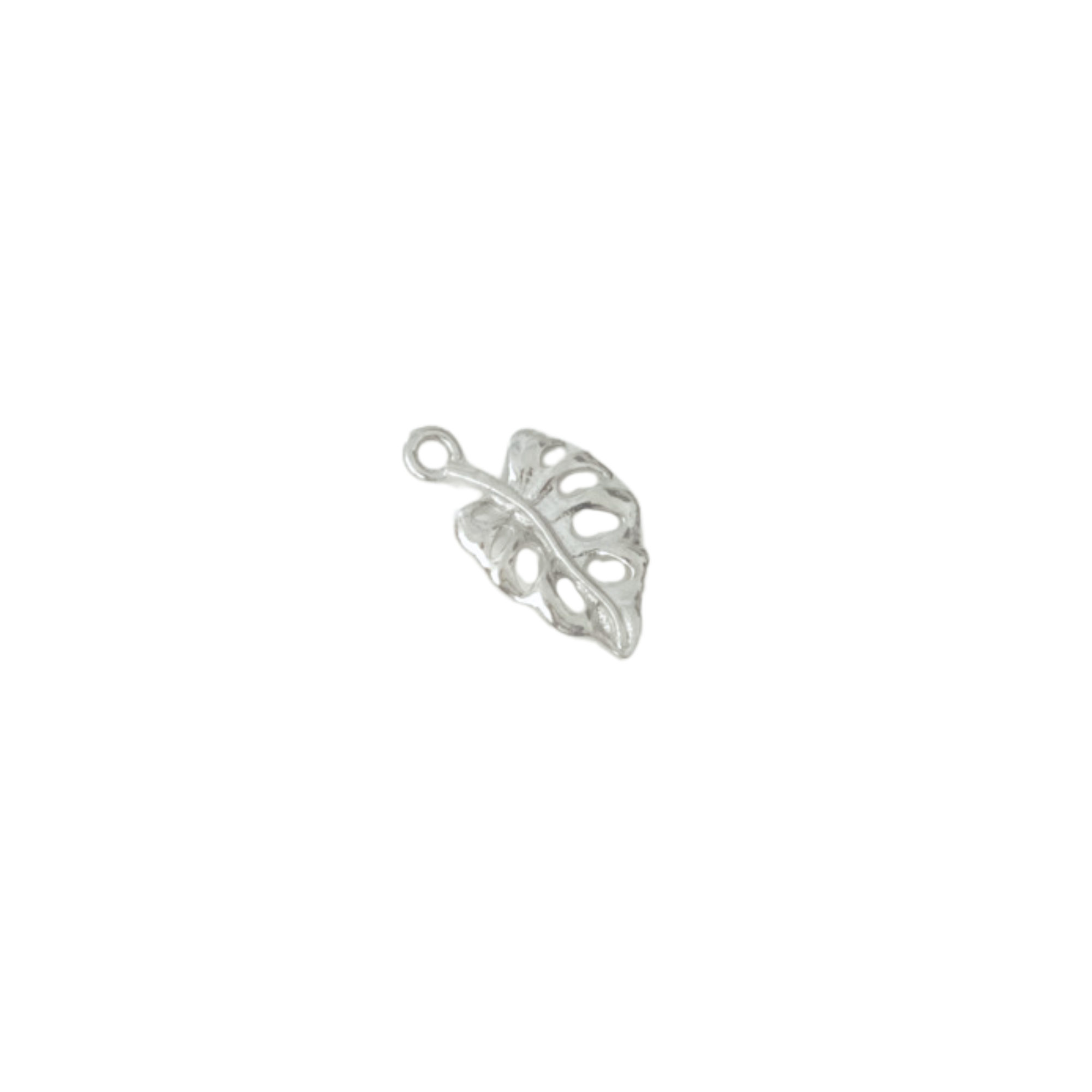 Monstera Leaf Charm