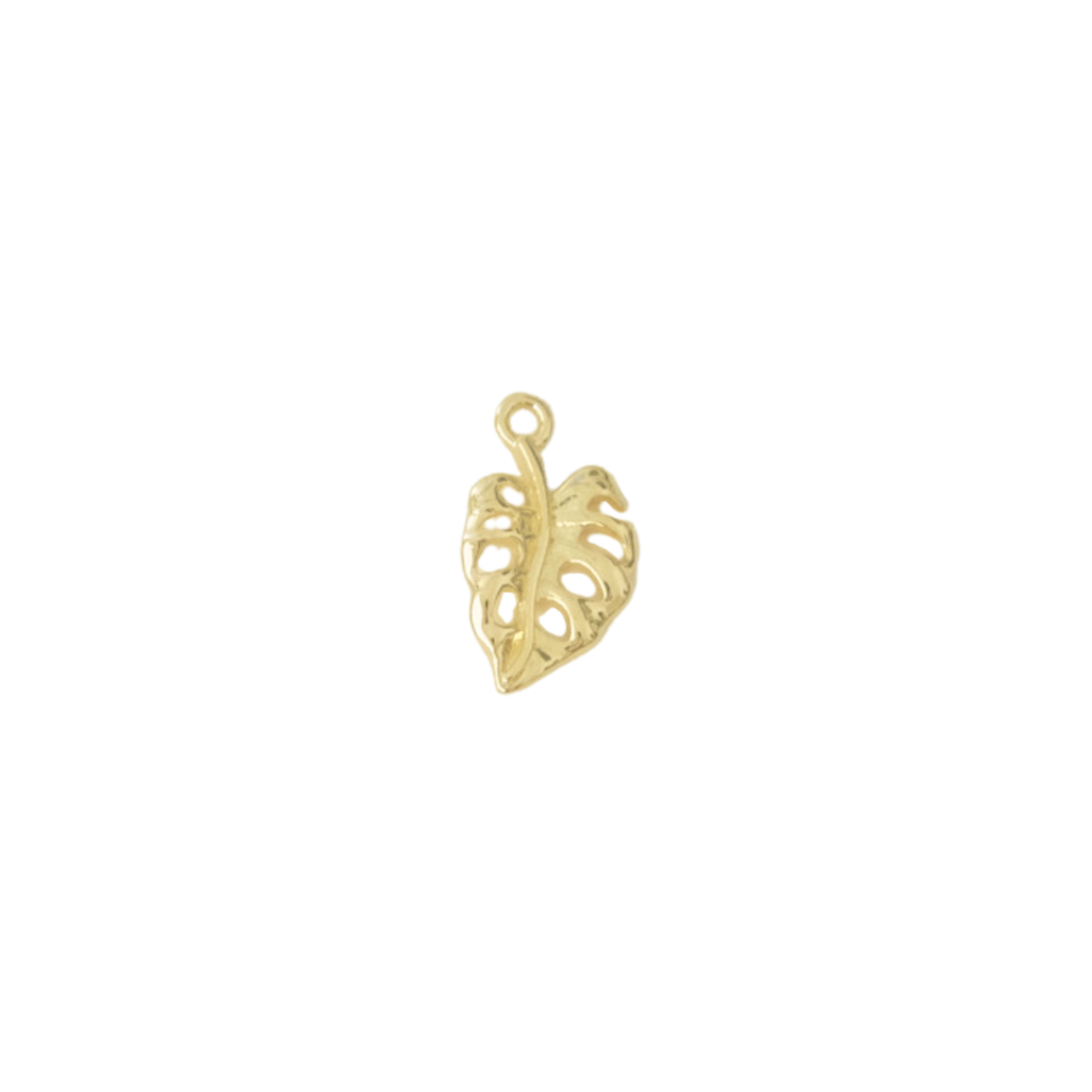 Monstera Leaf Charm