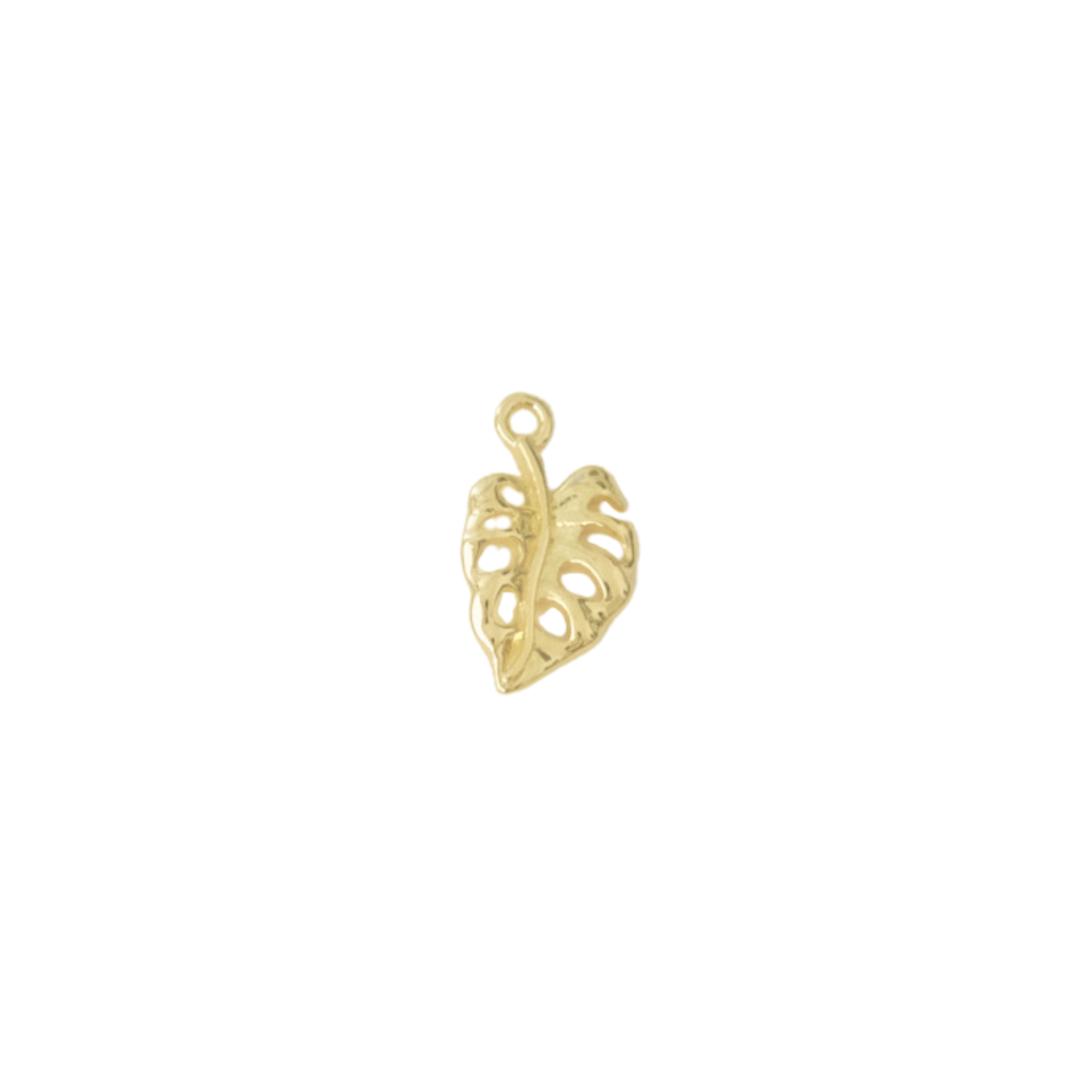 Monstera Leaf Charm