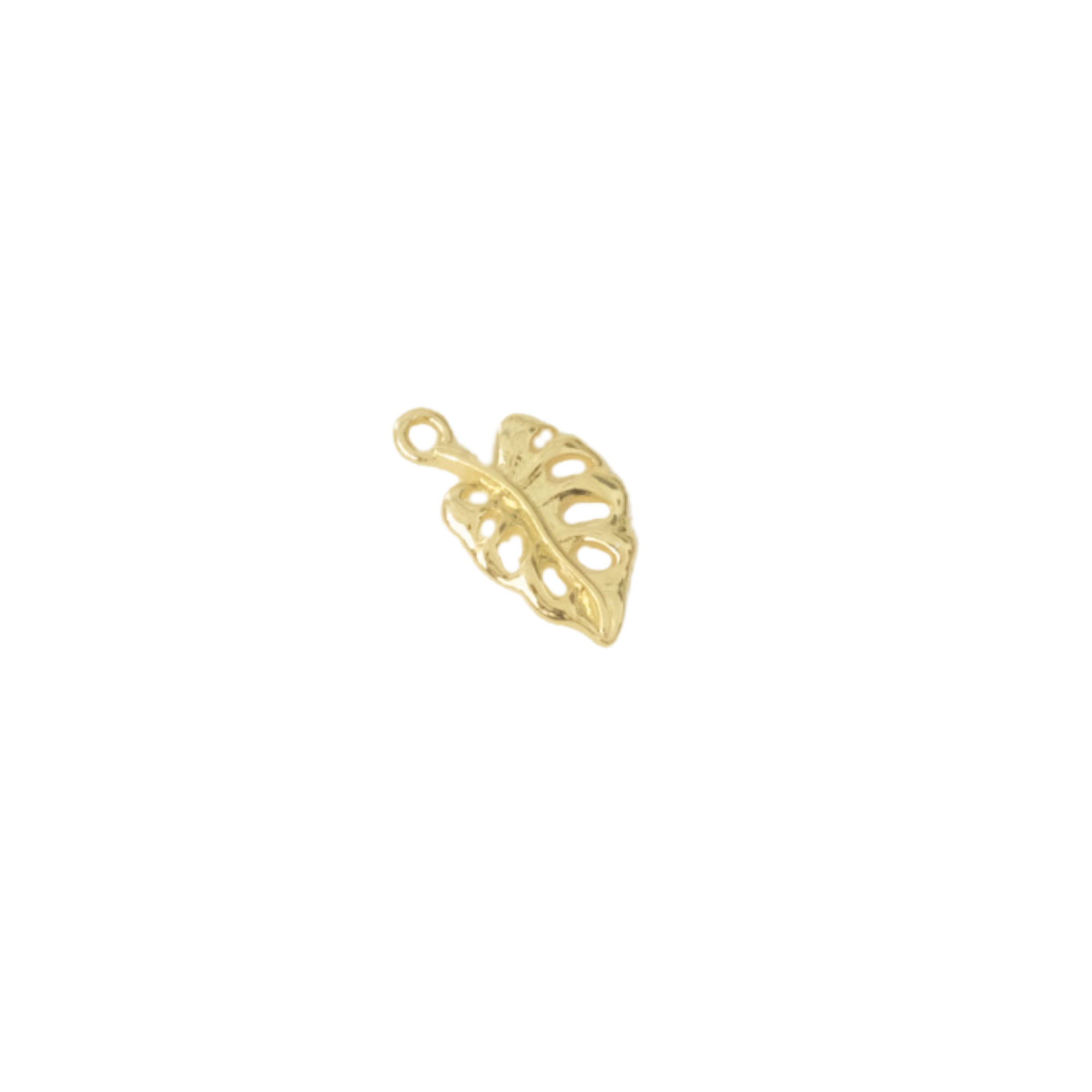 Monstera Leaf Charm