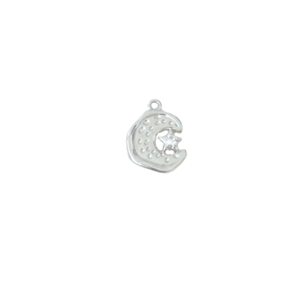 Moon and Star Charm