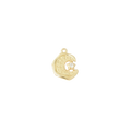 Moon and Star Charm