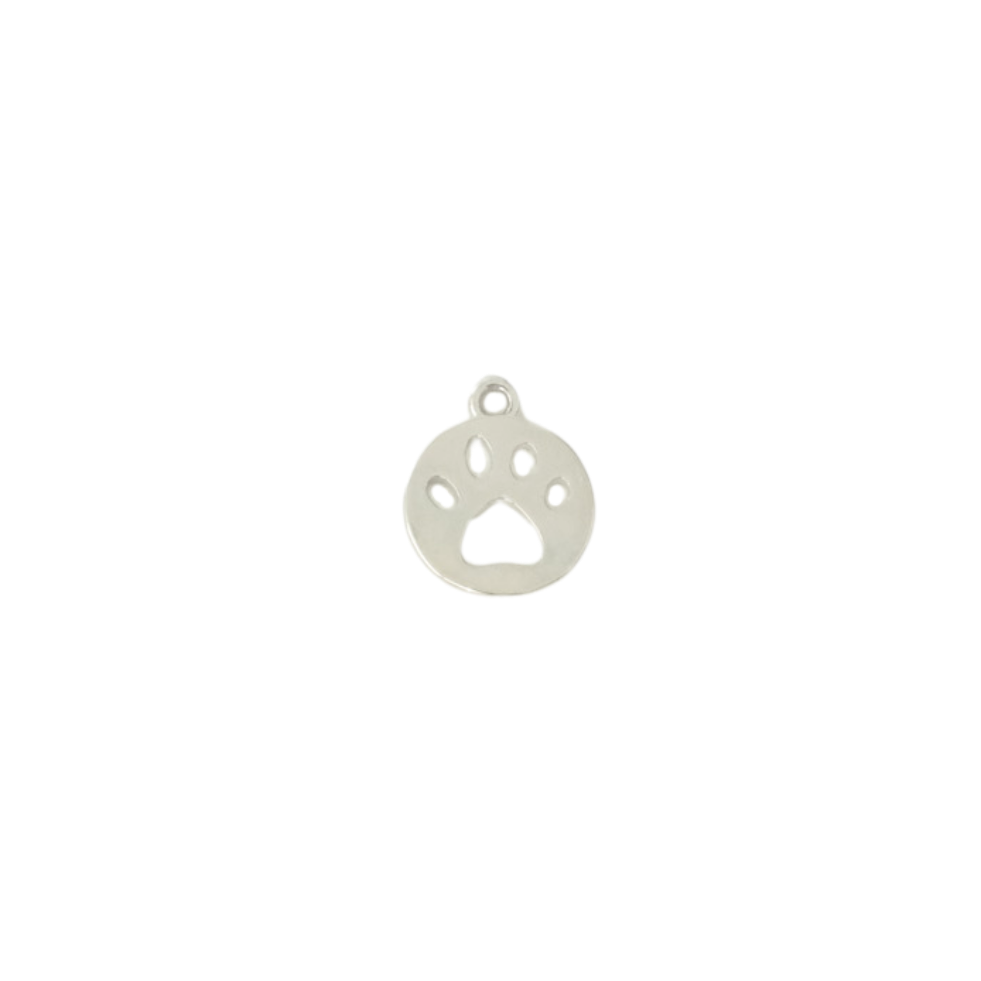 Paw Print Coin Charm