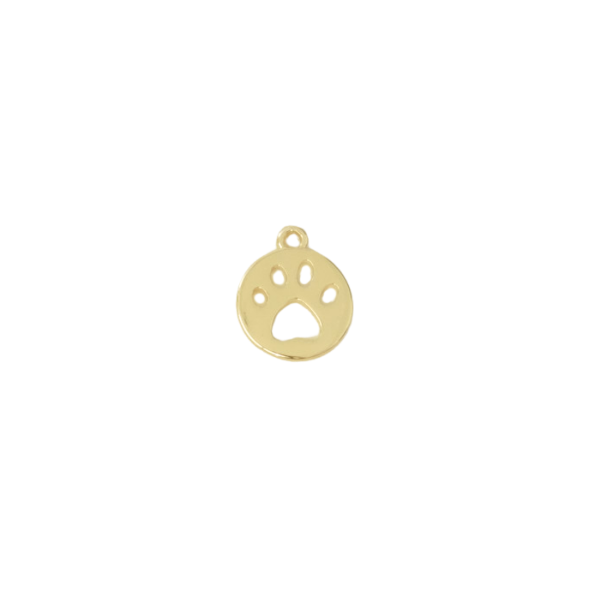 Paw Print Coin Charm