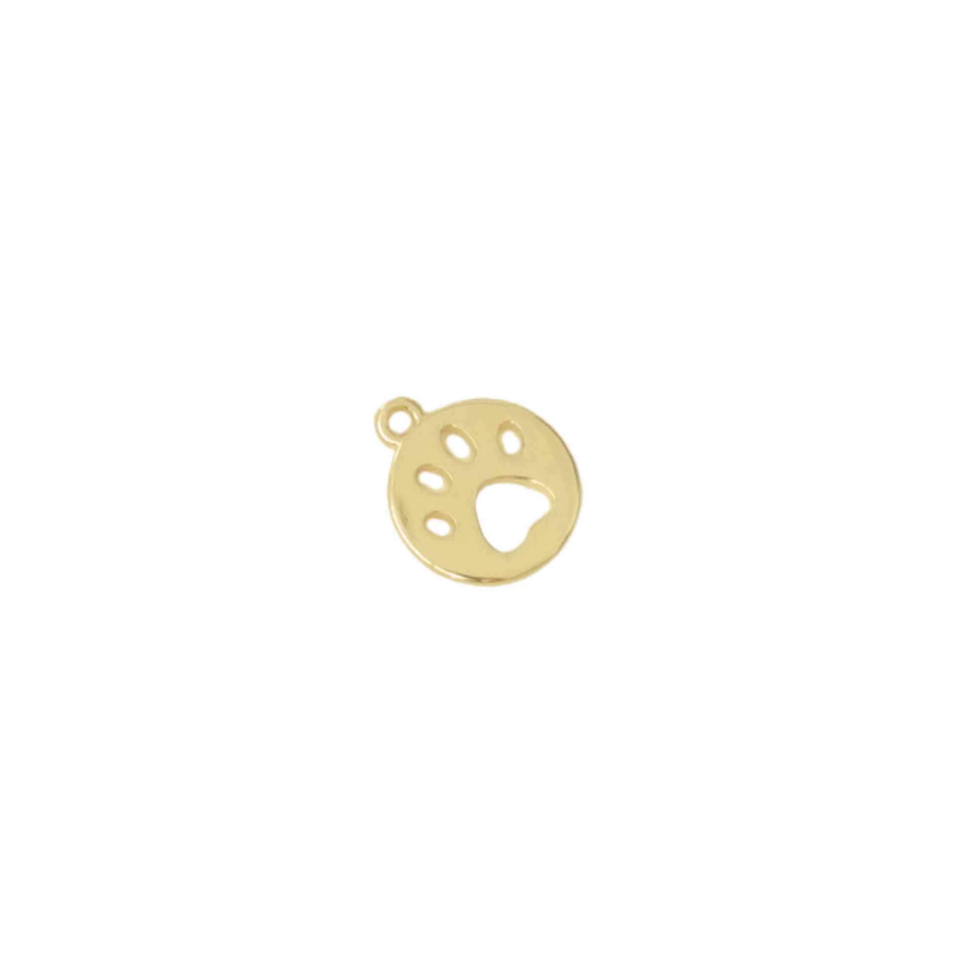 Paw Print Coin Charm