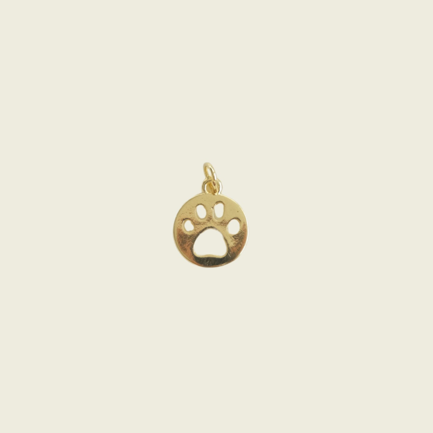 Paw Print Coin Charm