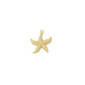 Royal Starfish Charm