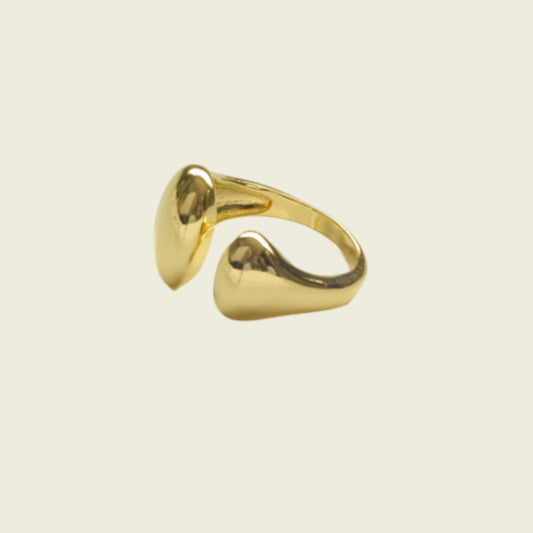 Santa Fe Ring