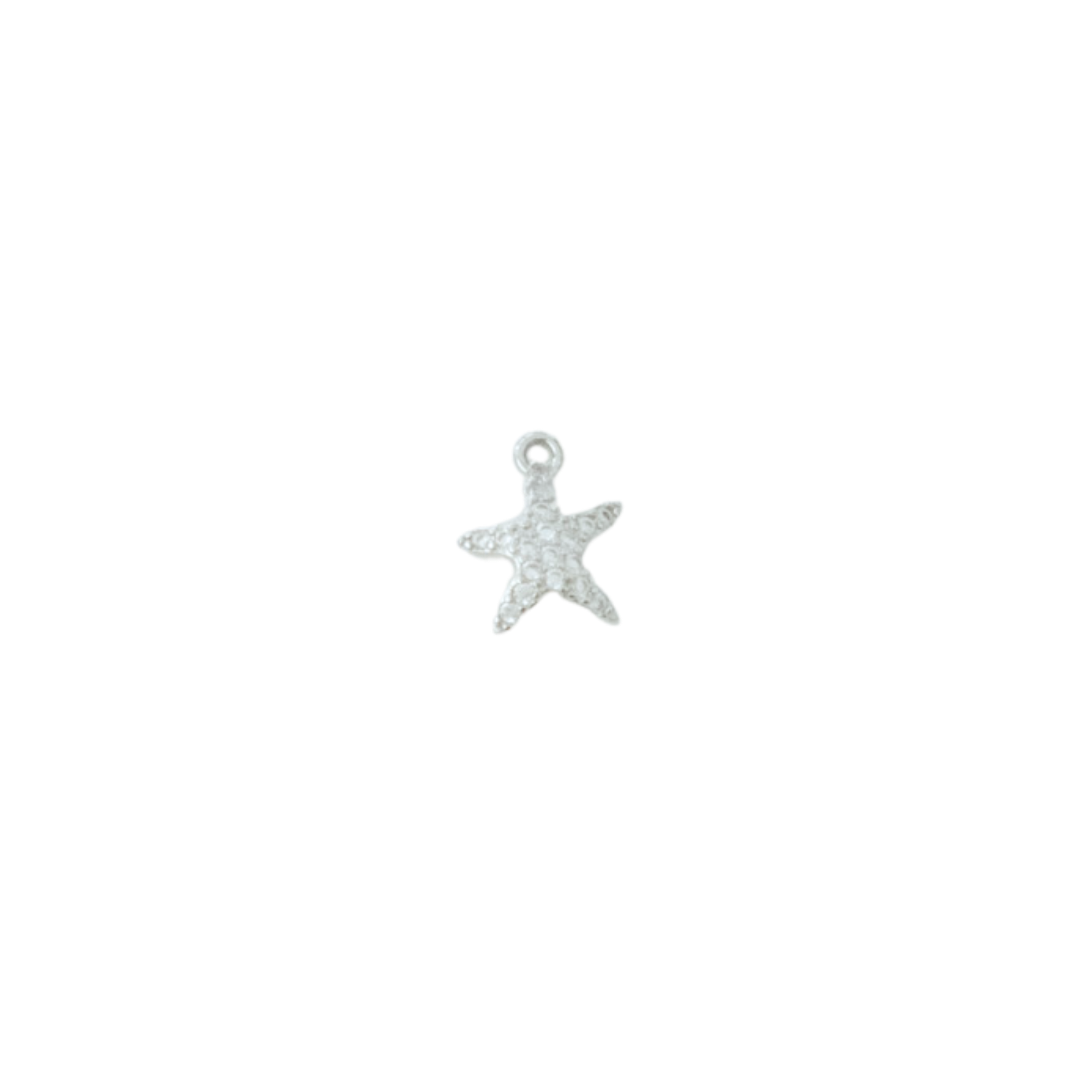 Sea Star Charm