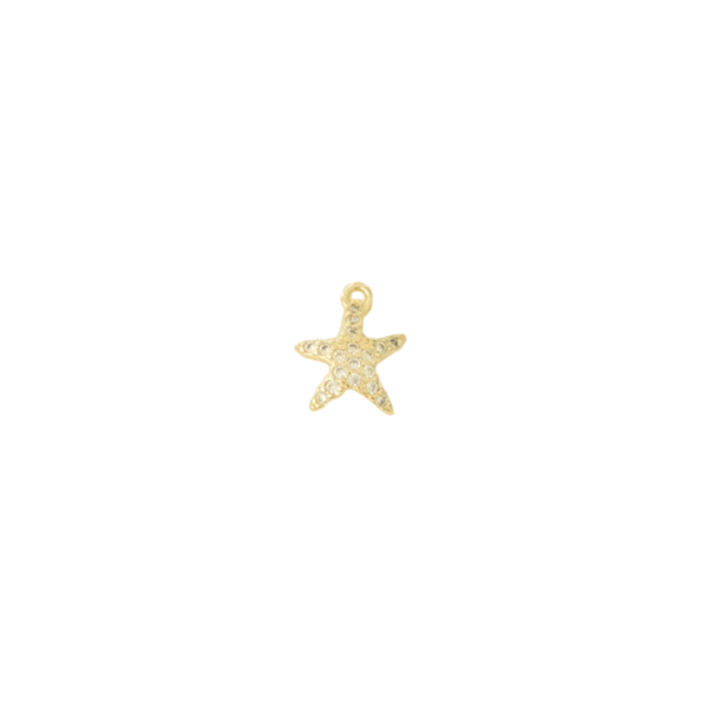 Sea Star Charm