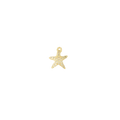 Sea Star Charm