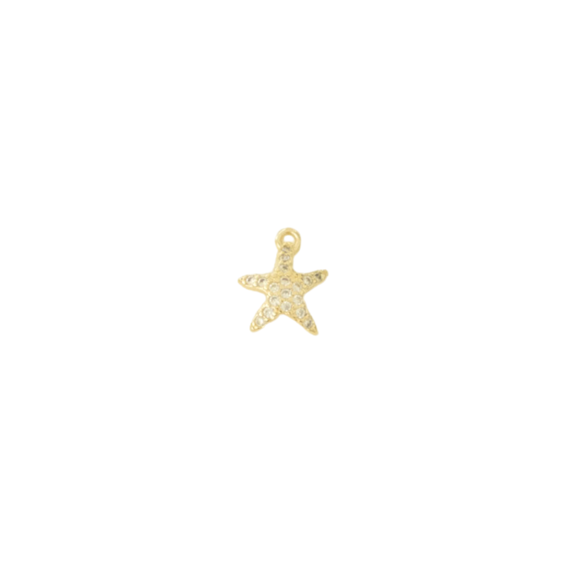 Sea Star Charm
