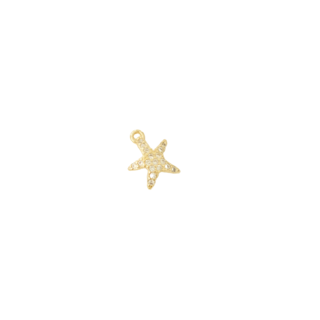 Sea Star Charm