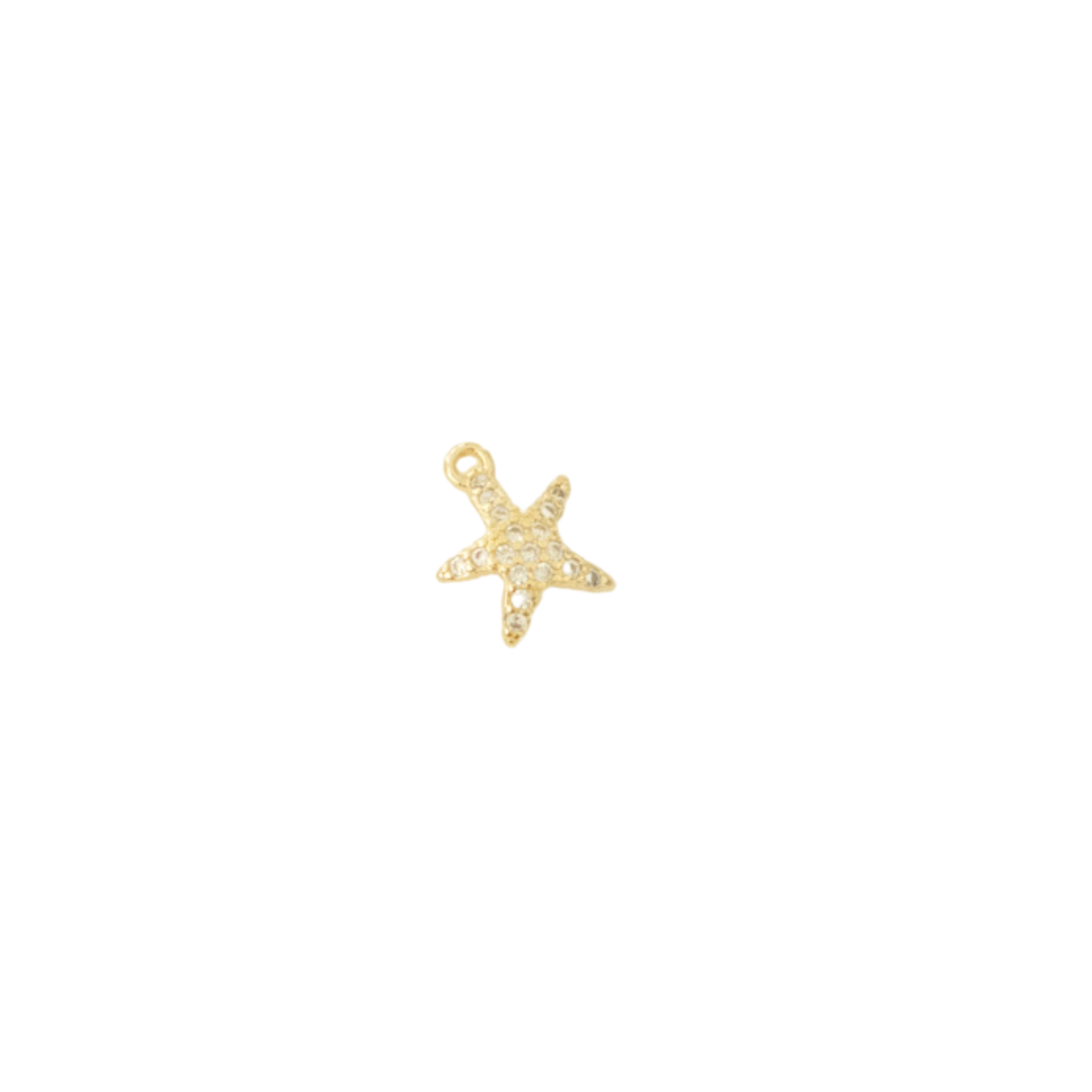 Sea Star Charm