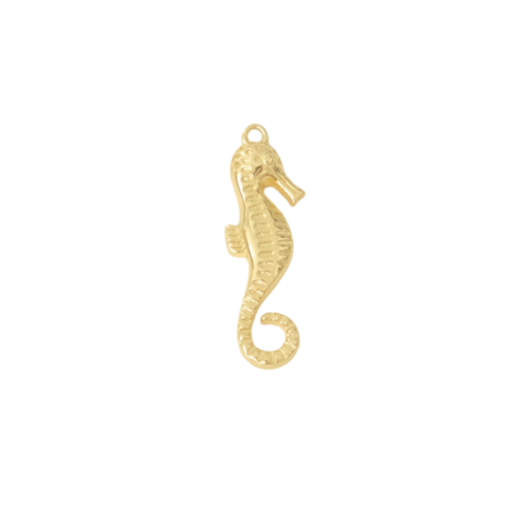 Large Seahorse Charm