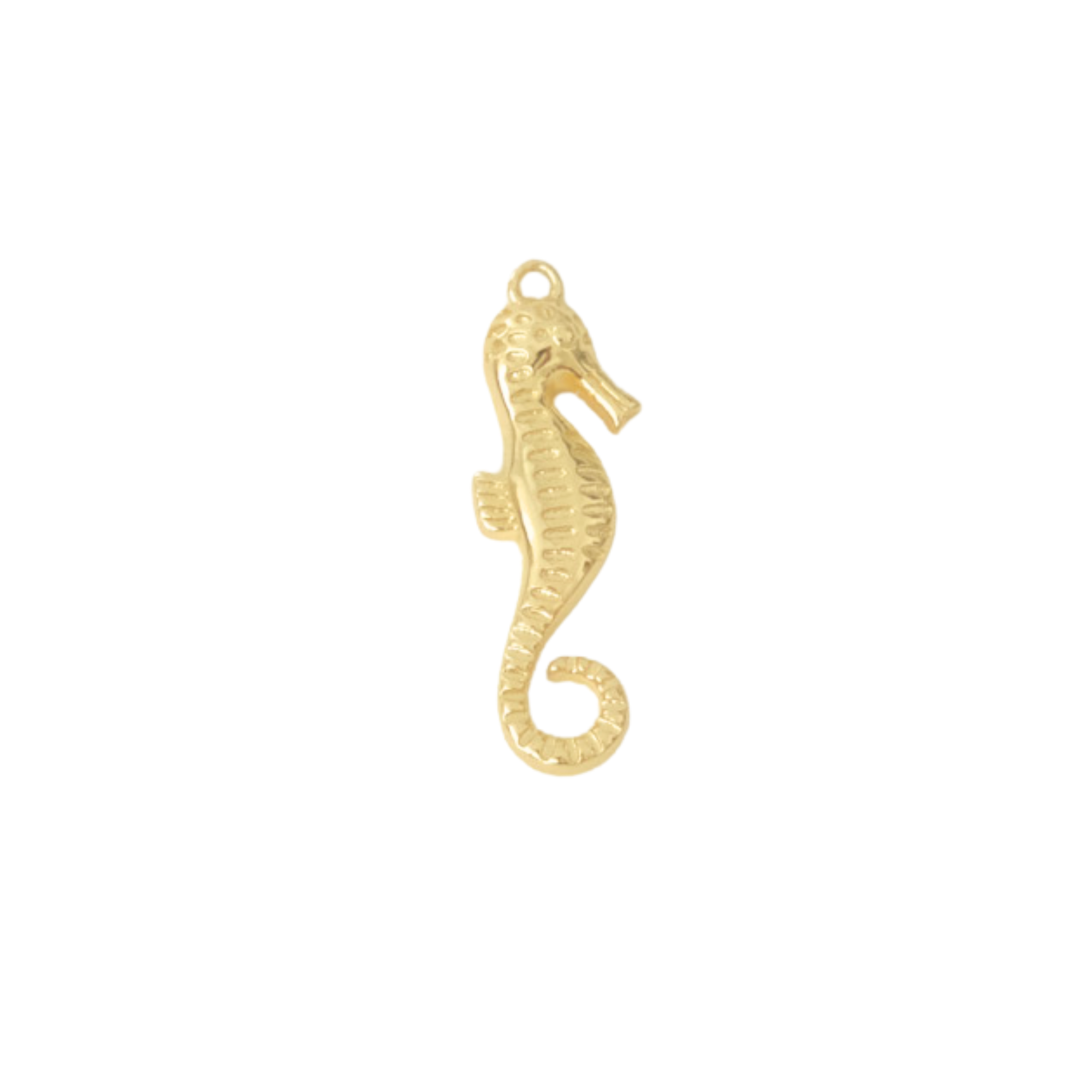 Large Seahorse Charm