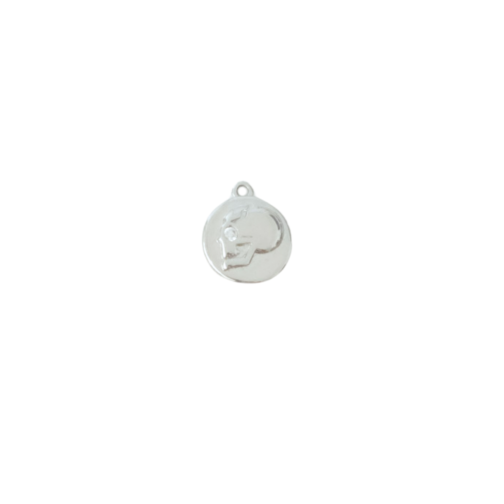 Skull Coin Charm